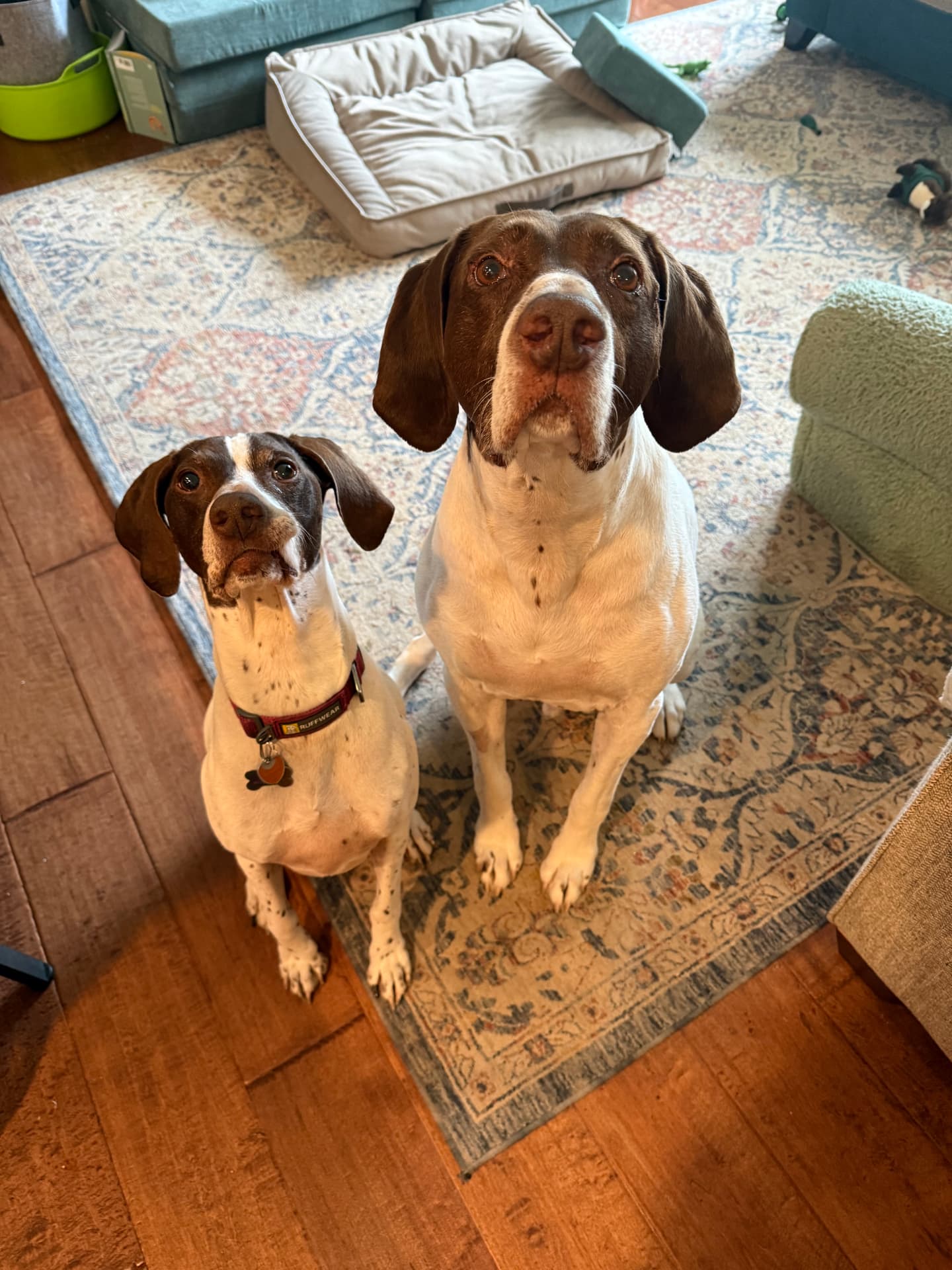 Maya and Eddy sitting together at home and looking up at the camera
