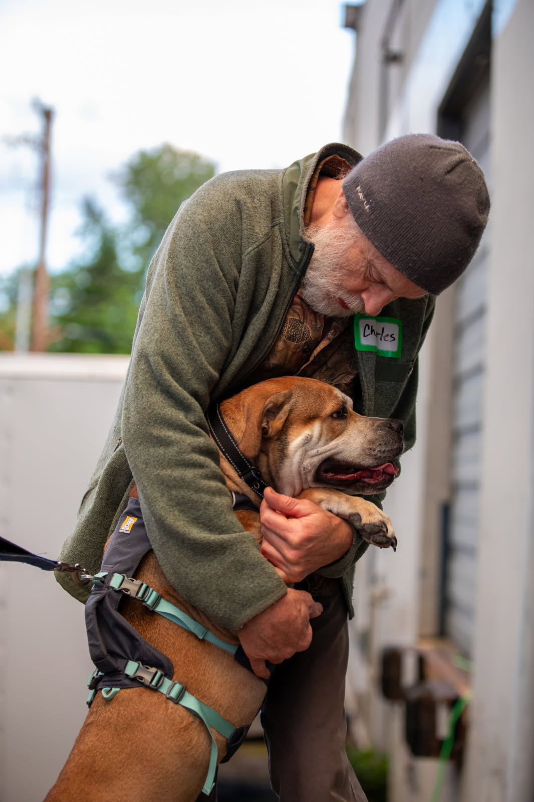 Charles hugging a brown rescue dog in a teal harness
