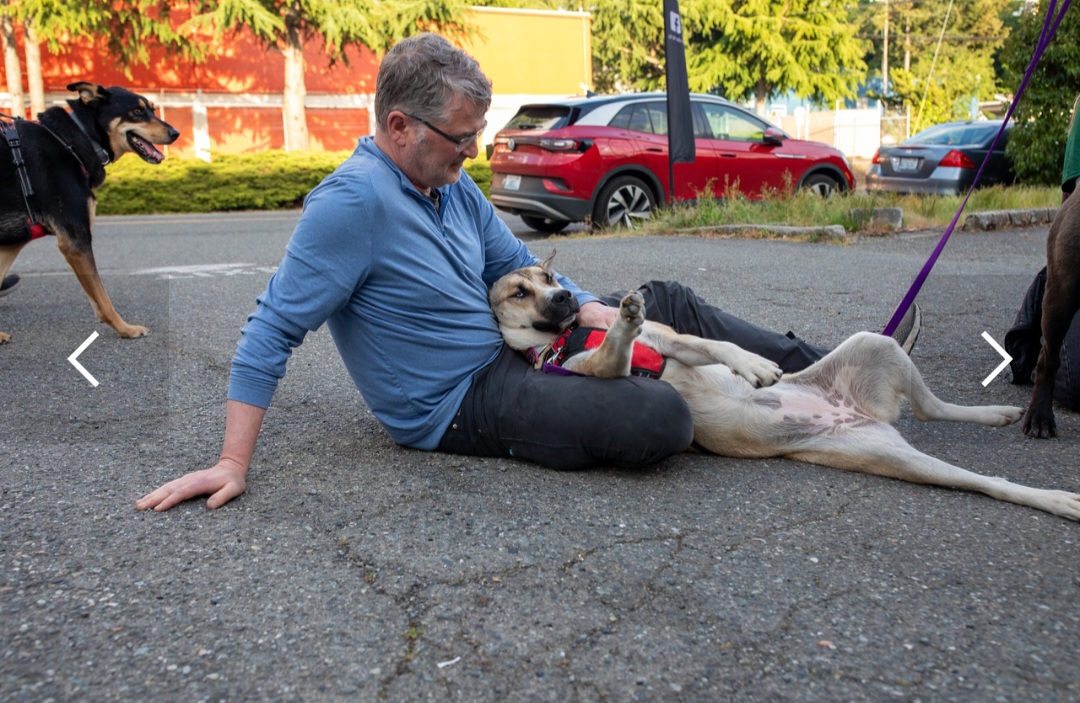 Volunteer sitting on the pavement with a relaxed tan dog during an adoption event