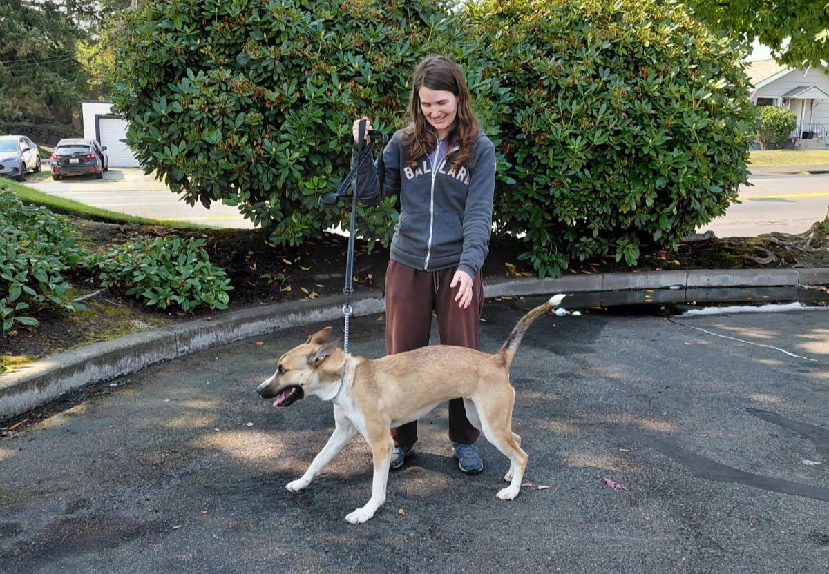 Volunteer walking a happy tan and white dog on a leash in a sunny neighborhood