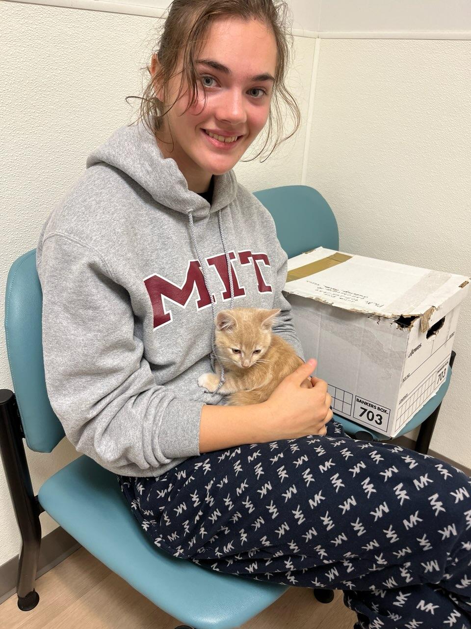 Young volunteer holding a tiny orange kitten in a clinic chair