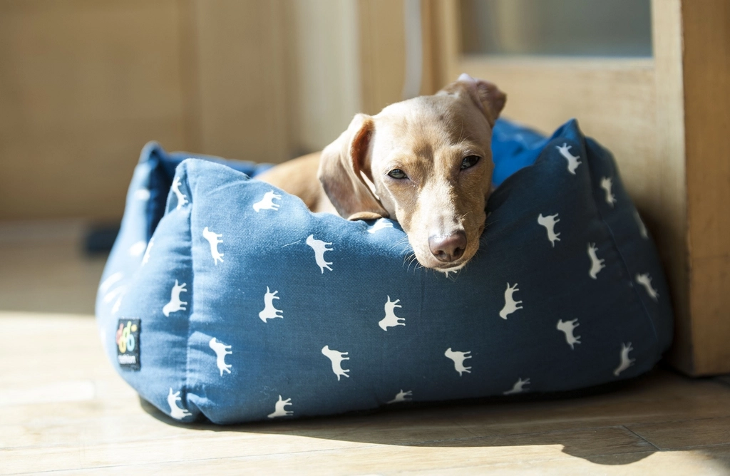 A small dog settling into a cozy dog bed at home