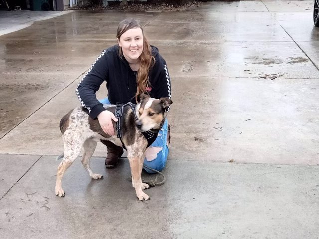 Smiling volunteer kneeling in a driveway beside a speckled rescue dog in a harness